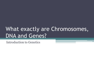 What exactly are Chromosomes,
DNA and Genes?
Introduction to Genetics
 