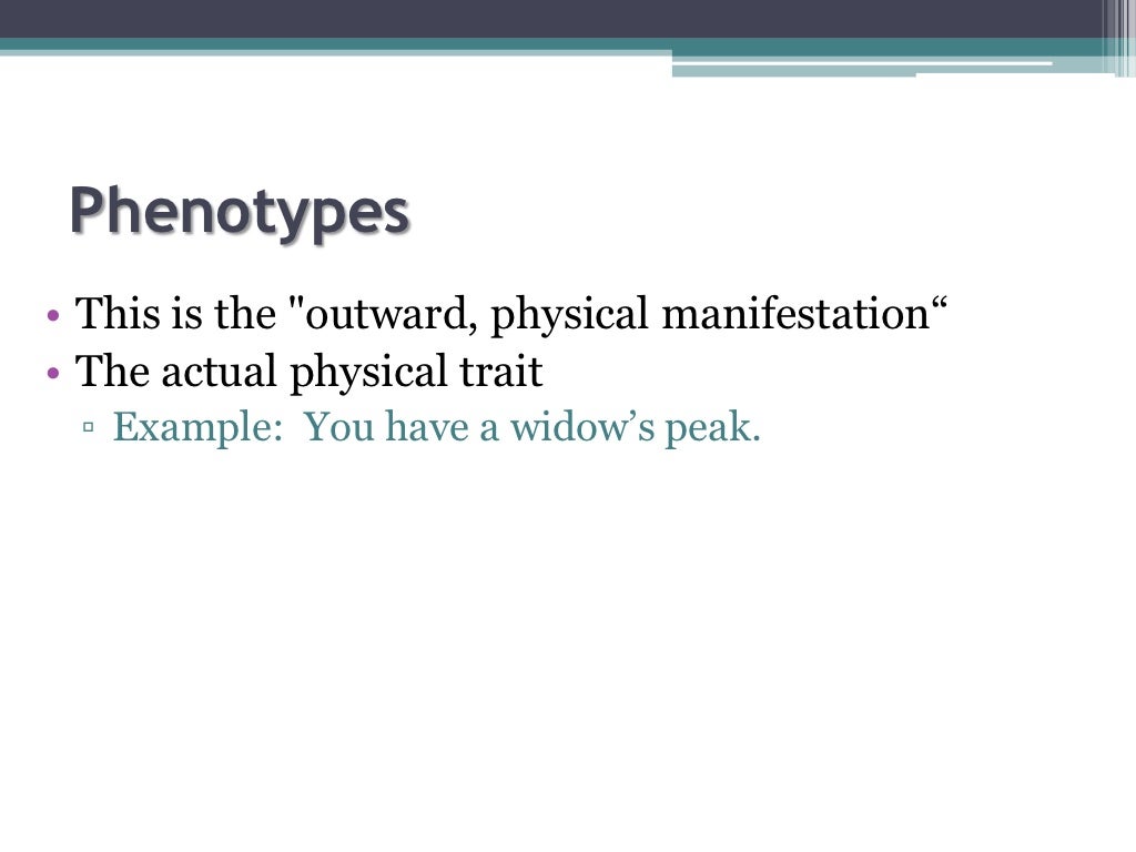 Genetics introduction
