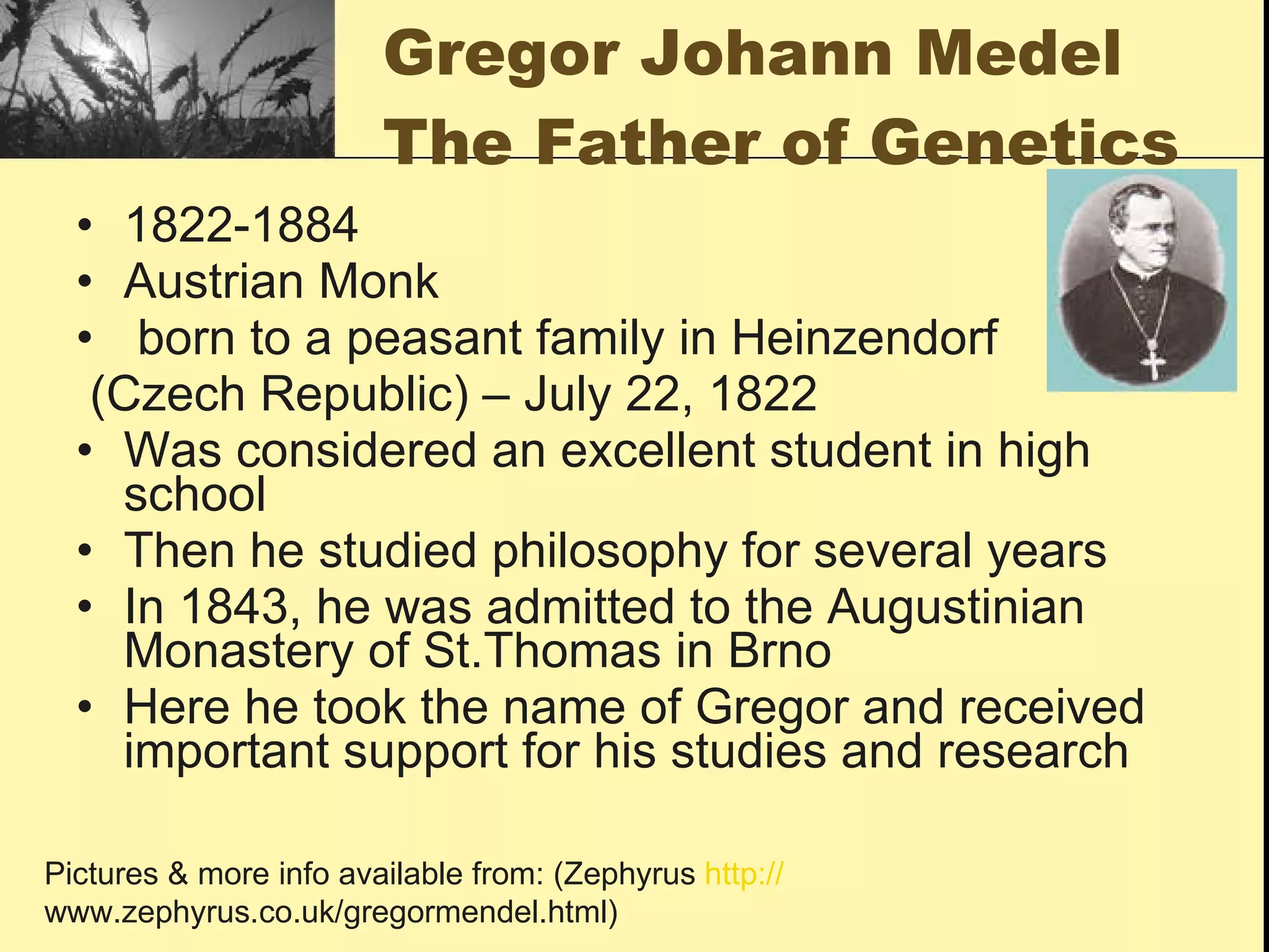 Gregor Johann Medel The Father of Genetics 1822-1884 Austrian Monk born to a peasant family in Heinzendorf (Czech Republic) – July 22, 1822 Was considered an excellent student in high school Then he studied philosophy for several years In 1843, he was admitted to the Augustinian Monastery of St.Thomas in Brno Here he took the name of Gregor and received important support for his studies and research Pictures & more info available from: (Zephyrus  http:// www.zephyrus.co.uk/gregormendel.html ) 