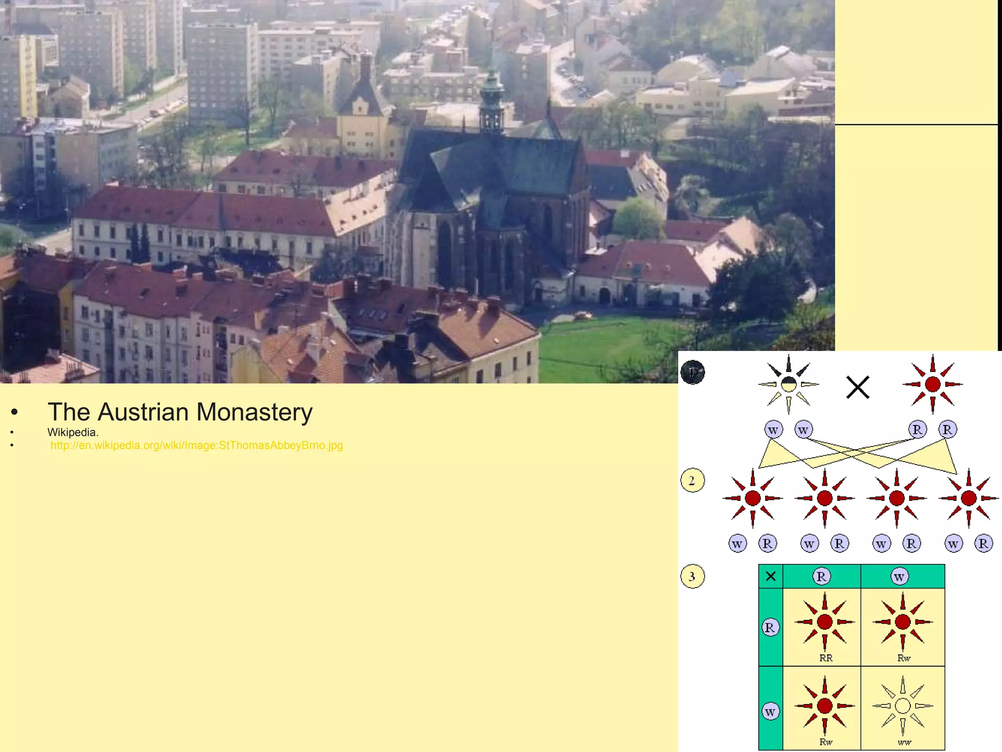 The Austrian Monastery  Wikipedia. http://en.wikipedia.org/wiki/Image:StThomasAbbeyBrno.jpg 