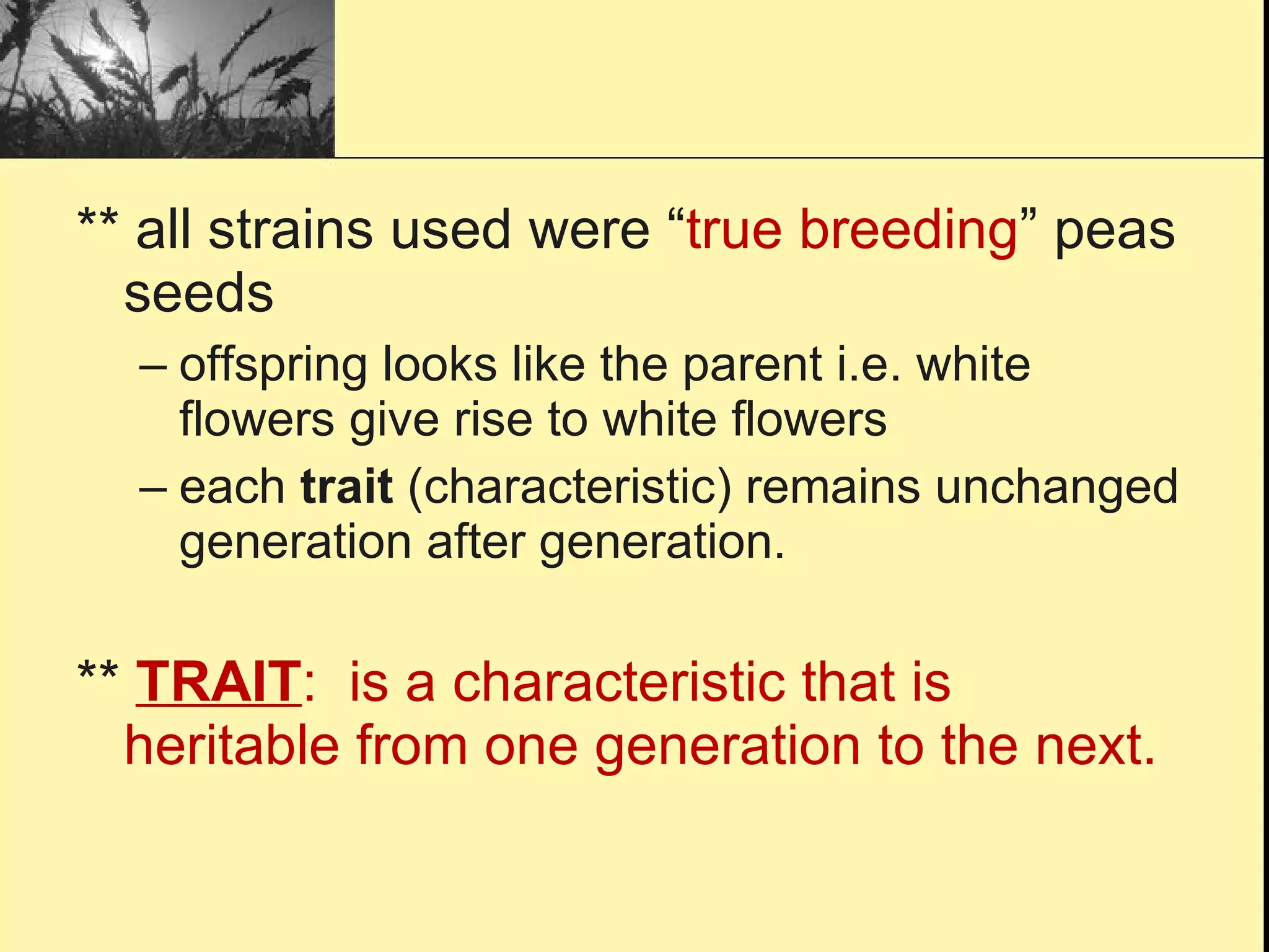 ** all strains used were “ true breeding ” peas seeds offspring looks like the parent i.e. white flowers give rise to white flowers each  trait  (characteristic) remains unchanged generation after generation. **  TRAIT :  is a characteristic that is heritable from one generation to the next. 