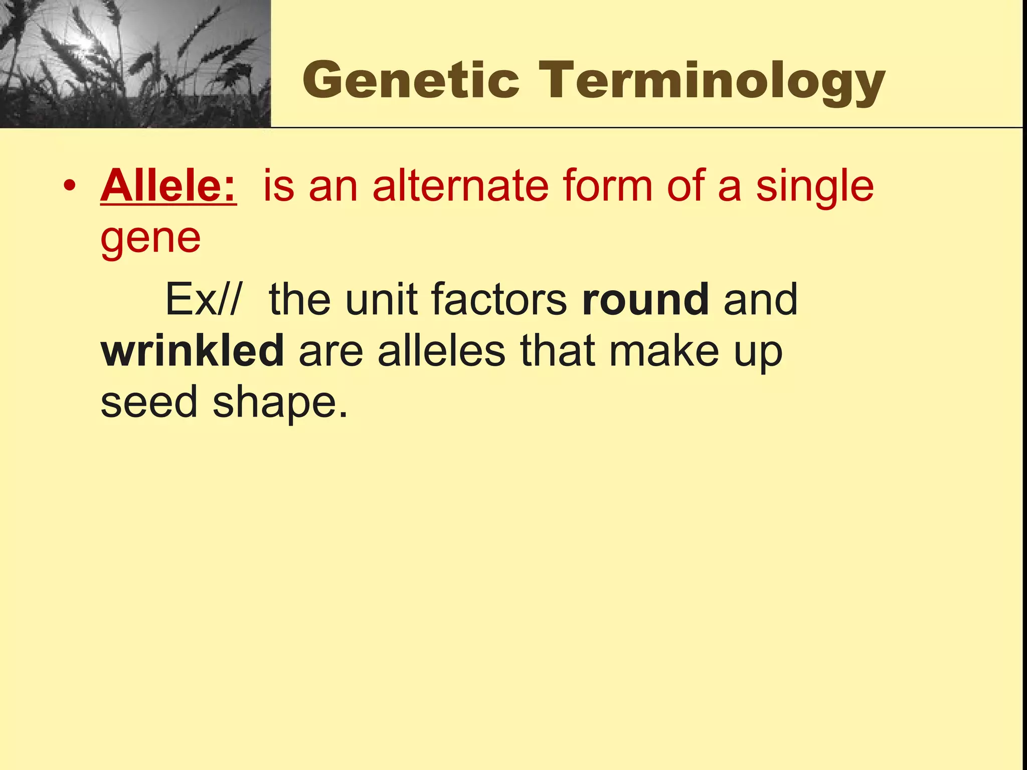 Genetic Terminology Allele:   is an alternate form of a single gene Ex//  the unit factors  round  and  wrinkled  are alleles that make up  seed shape. 
