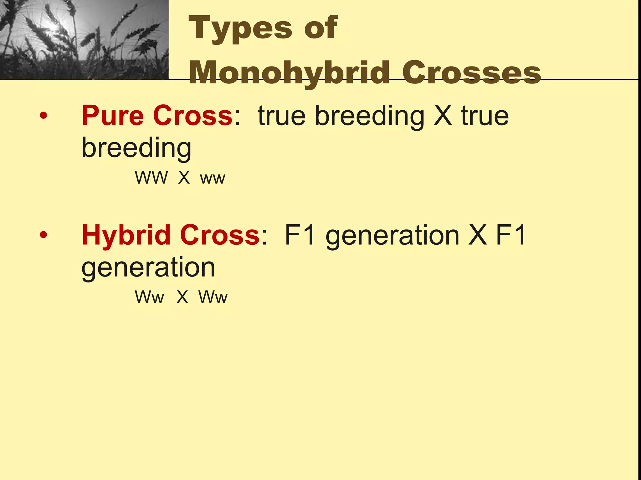 Types of  Monohybrid Crosses Pure Cross :  true breeding X true breeding WW  X  ww Hybrid Cross :  F1 generation X F1 generation Ww   X  Ww 