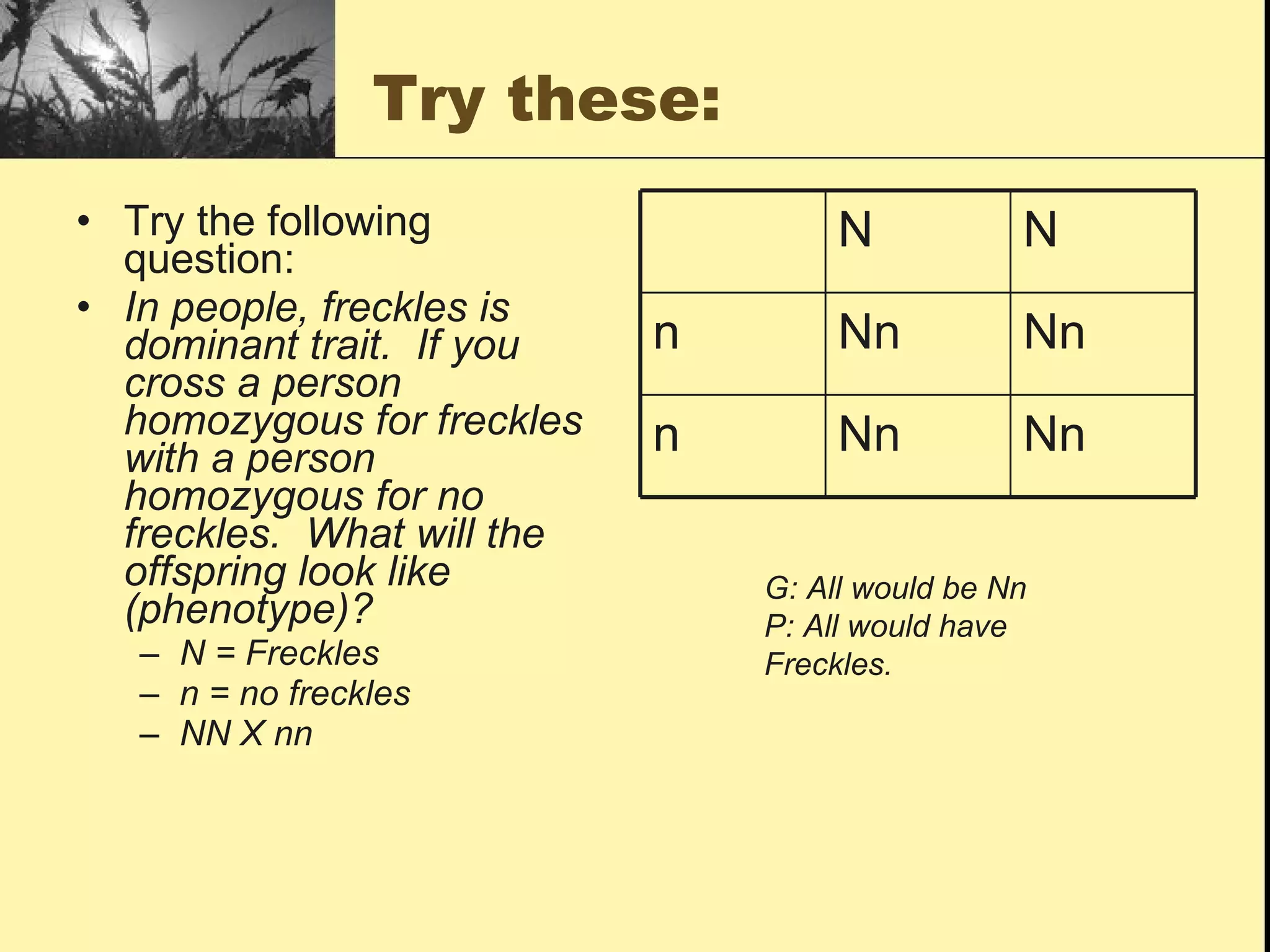 Try these: Try the following question: In people, freckles is dominant trait.  If you cross a person homozygous for freckles with a person homozygous for no freckles.  What will the offspring look like (phenotype)? N = Freckles n = no freckles NN X nn G: All would be Nn P: All would have Freckles. n n N N Nn Nn n Nn Nn n N N 