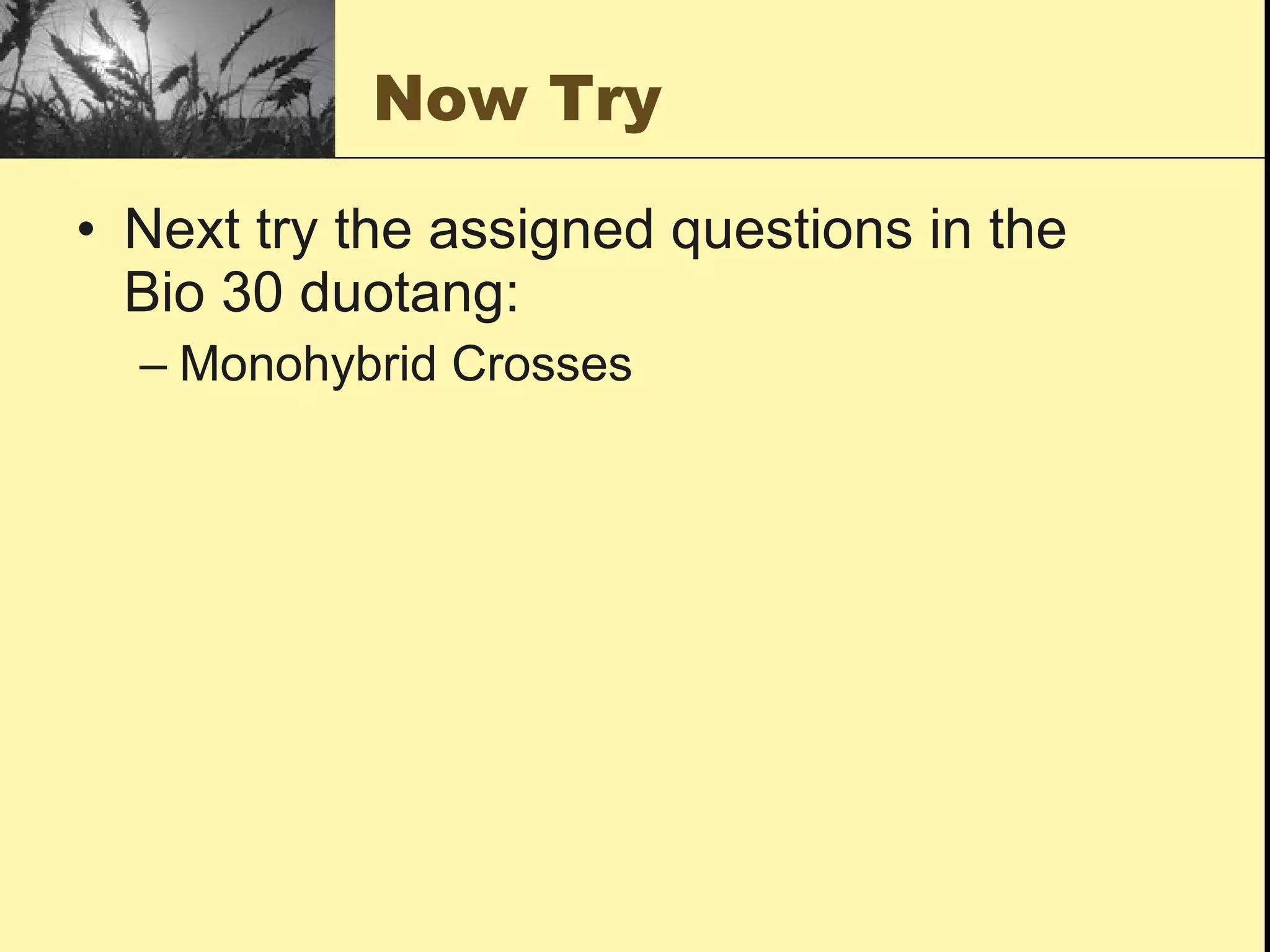 Now Try Next try the assigned questions in the  Bio 30 duotang: Monohybrid Crosses 