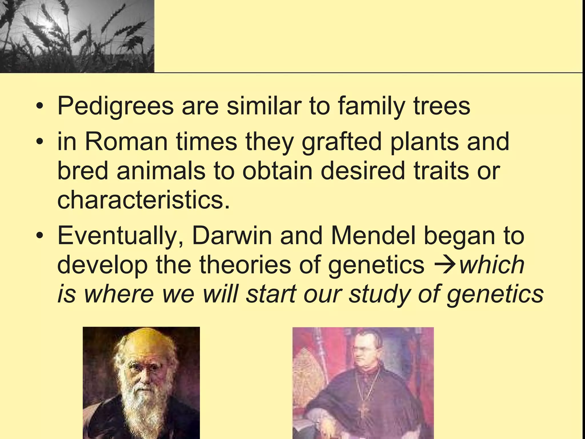 Pedigrees are similar to family trees in Roman times they grafted plants and bred animals to obtain desired traits or characteristics. Eventually, Darwin and Mendel began to develop the theories of genetics   which is where we will start our study of genetics 