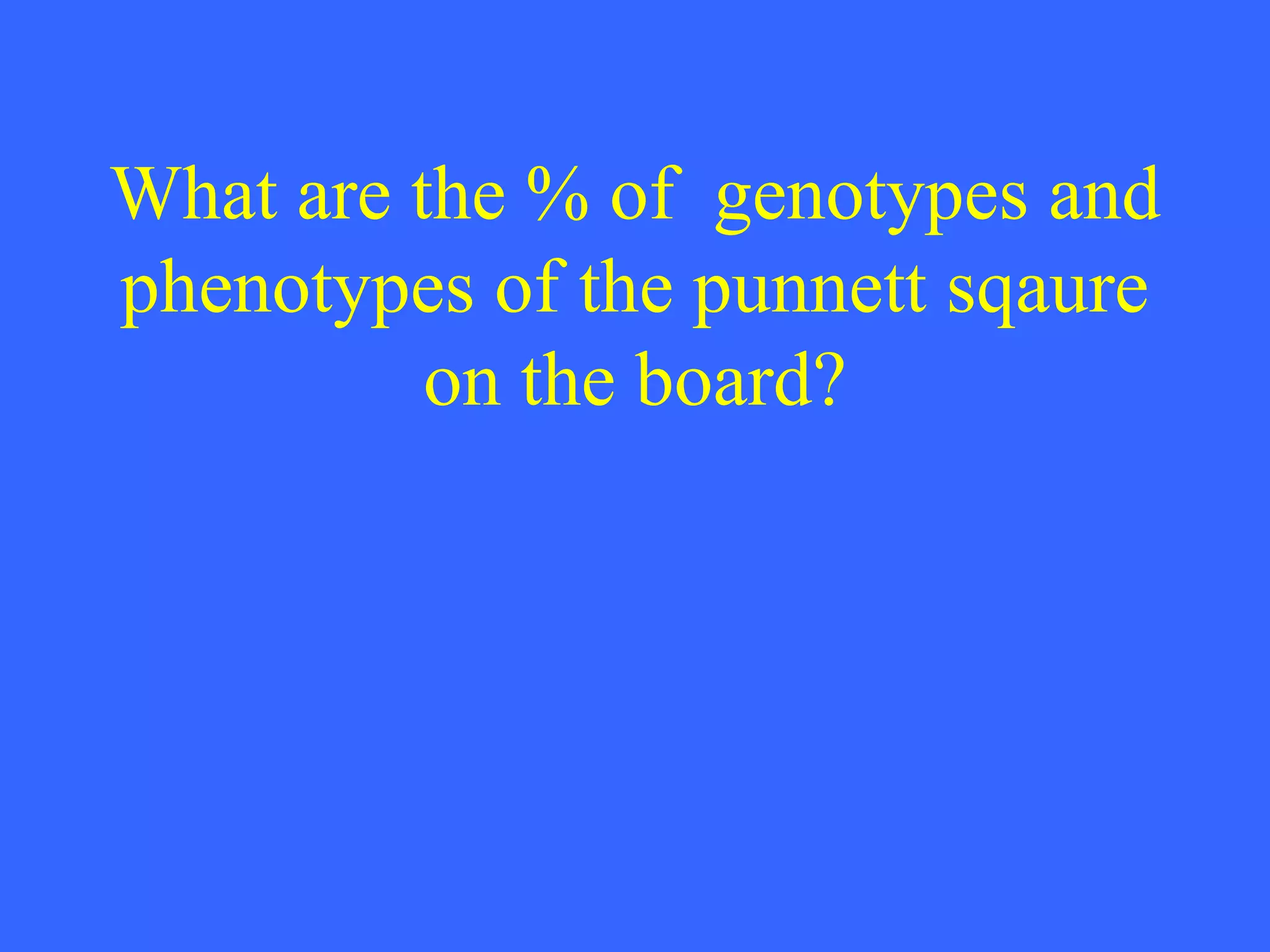 What are the % of  genotypes and phenotypes of the punnett sqaure on the board? 
