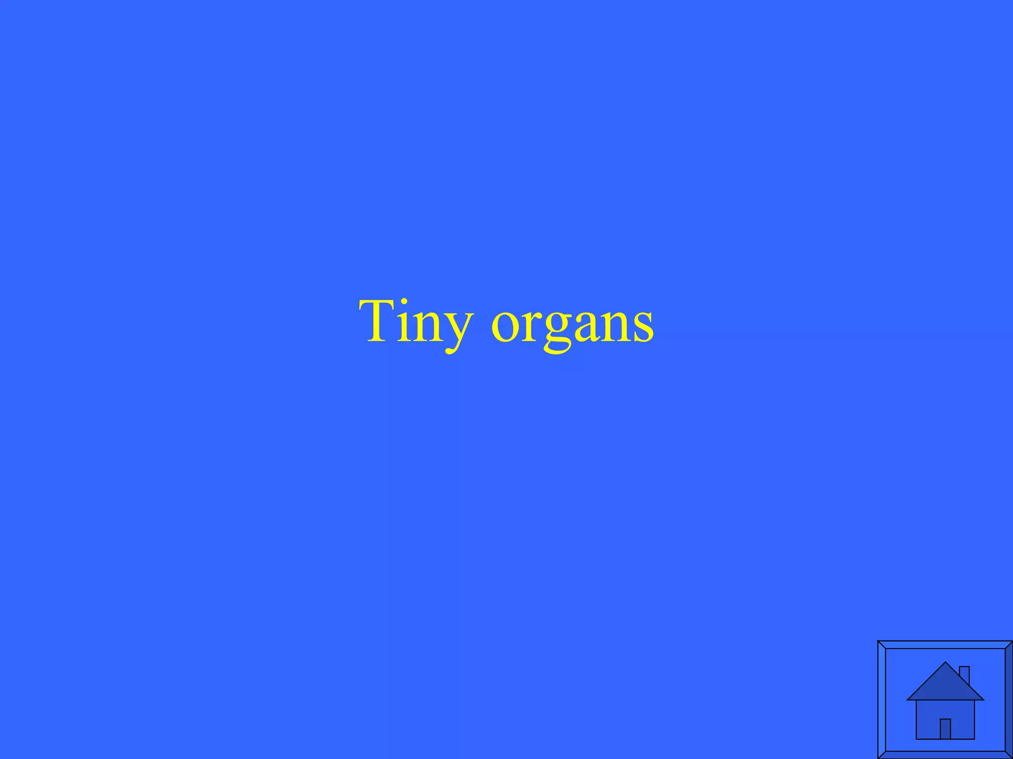 Tiny organs 