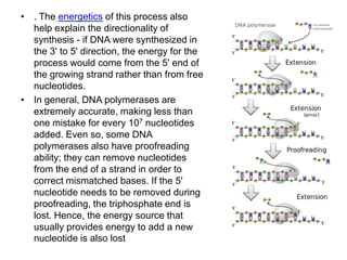 Dna Directionality Explained DNA STRUCTURE, REPLICATION AND MANIPULATION | PPTX