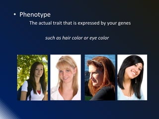 • Phenotype
The actual trait that is expressed by your genes
such as hair color or eye color
 