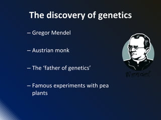 The discovery of genetics
– Gregor Mendel
– Austrian monk
– The ‘father of genetics’
– Famous experiments with pea
plants
 