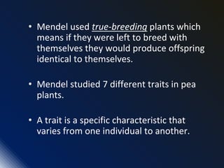 • Mendel used true-breeding plants which
means if they were left to breed with
themselves they would produce offspring
identical to themselves.
• Mendel studied 7 different traits in pea
plants.
• A trait is a specific characteristic that
varies from one individual to another.
 