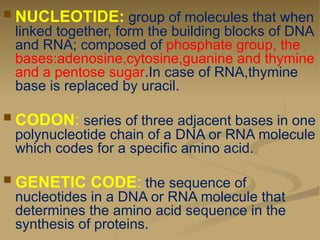 Nucleotide Sequence Code genetics lecture.bbvvvvvvvcvvbhxfhhhbpptx | PPTX