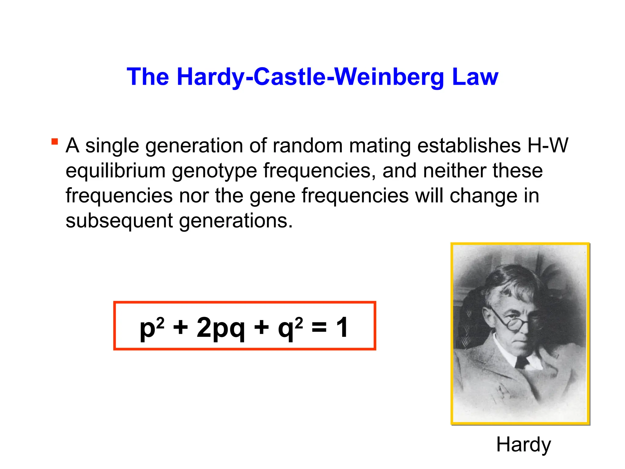 The Hardy-Castle-Weinberg Law
 A single generation of random mating establishes H-W
equilibrium genotype frequencies, and neither these
frequencies nor the gene frequencies will change in
subsequent generations.
Hardy
p2
+ 2pq + q2
= 1
 