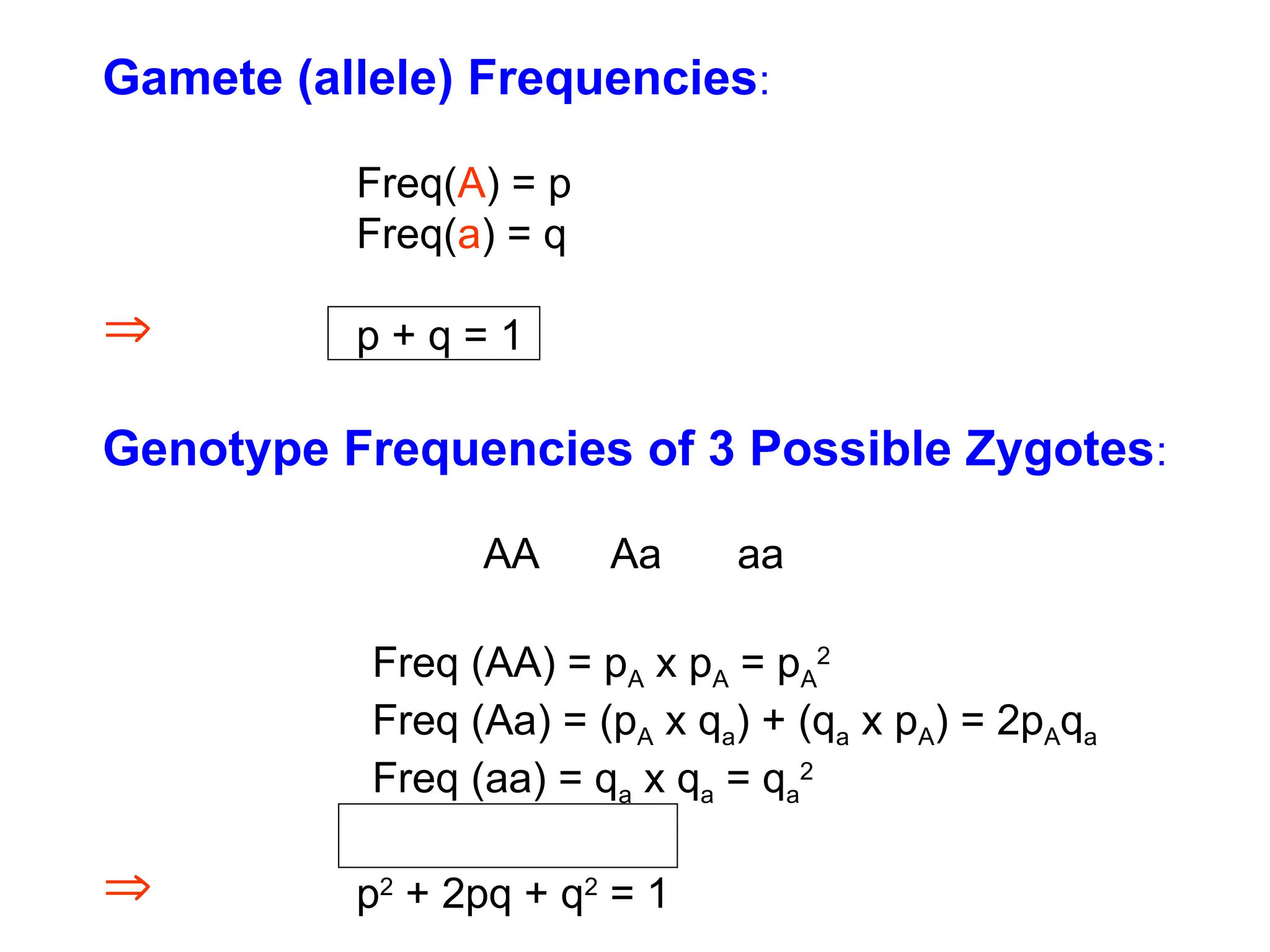 Gamete (allele) Frequencies:
Freq(A) = p
Freq(a) = q
 p + q = 1
Genotype Frequencies of 3 Possible Zygotes:
AA Aa aa
Freq (AA) = pA x pA = pA
2
Freq (Aa) = (pA x qa) + (qa x pA) = 2pAqa
Freq (aa) = qa x qa = qa
2
 p2
+ 2pq + q2
= 1
 