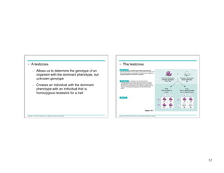 •  A testcross
–  Allows us to determine the genotype of an
organism with the dominant phenotype, but
unknown genotype
–  Crosses an individual with the dominant
phenotype with an individual that is
homozygous recessive for a trait

•  The testcross
APPLICATION An organism that exhibits a dominant trait,
such as purple flowers in pea plants, can be either homozygous for
the dominant allele or heterozygous. To determine the organism’s
genotype, geneticists can perform a testcross.

×
Dominant phenotype,
unknown genotype:
PP or Pp?

Recessive phenotype,
known genotype:
pp

If PP,
then all offspring
purple:

TECHNIQUE In a testcross, the individual with the
unknown genotype is crossed with a homozygous individual
expressing the recessive trait (white flowers in this example).
By observing the phenotypes of the offspring resulting from this
cross, we can deduce the genotype of the purple-flowered
parent.

If Pp,
then 1⁄2 offspring purple
and 1⁄2 offspring white:

p

p

p

p

Pp

Pp

pp

pp

RESULTS

P
Pp

P
Pp

P

p
Pp

Pp

Figure 14.7
Copyright © 2005 Pearson Education, Inc. publishing as Benjamin Cummings

Copyright © 2005 Pearson Education, Inc. publishing as Benjamin Cummings

12

 