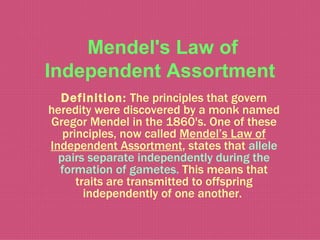 Mendel's Law of
Independent Assortment
  Definition: The principles that govern
heredity were discovered by a monk named
Gregor Mendel in the 1860's. One of these
   principles, now called Mendel’s Law of
Independent Assortment, states that allele
  pairs separate independently during the
  formation of gametes. This means that
      traits are transmitted to offspring
        independently of one another.
 