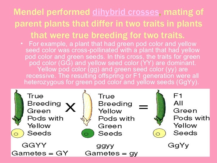 mendelian laws
