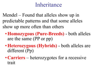 Inheritance
Mendel – Found that alleles show up in
predictable patterns and that some alleles
show up more often than others
 • Homozygous (Pure-Breeds) - both alleles
   are the same (PP or pp)
 • Heterozygous (Hybrids) - both alleles are
   different (Pp)
 • Carriers – heterozygotes for a recessive
   trait
 