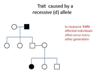 Trait



        traits
 