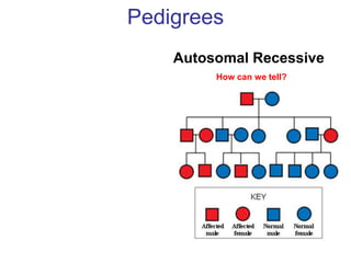 Pedigrees
    Autosomal Recessive
         How can we tell?
 