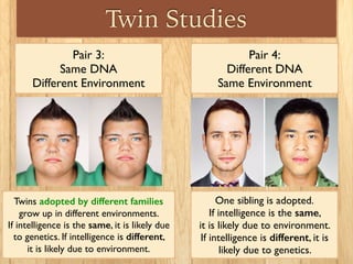 Twin Studies
Pair 4:
Different DNA
Same Environment
One sibling is adopted.
If intelligence is the same,
it is likely due to environment.
If intelligence is different, it is
likely due to genetics.
Pair 3:
Same DNA
Different Environment
Twins adopted by different families
grow up in different environments.
If intelligence is the same, it is likely due
to genetics. If intelligence is different,
it is likely due to environment.
 