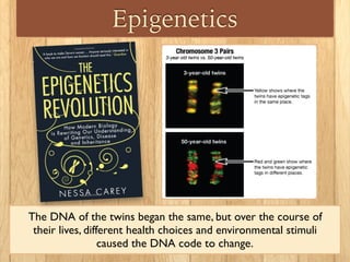 Epigenetics
The DNA of the twins began the same, but over the course of
their lives, different health choices and environmental stimuli
caused the DNA code to change.
 