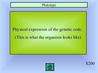$200
Physical expression of the genetic code.
(This is what the organism looks like)
Phenotype
 