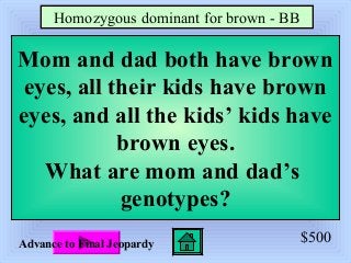 $500
Mom and dad both have brown
eyes, all their kids have brown
eyes, and all the kids’ kids have
brown eyes.
What are mom and dad’s
genotypes?
Homozygous dominant for brown - BB
Advance to Final Jeopardy
 
