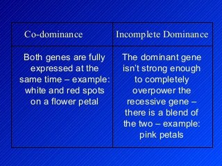 Co-dominance Incomplete Dominance
Both genes are fully
expressed at the
same time – example:
white and red spots
on a flower petal
The dominant gene
isn’t strong enough
to completely
overpower the
recessive gene –
there is a blend of
the two – example:
pink petals
 