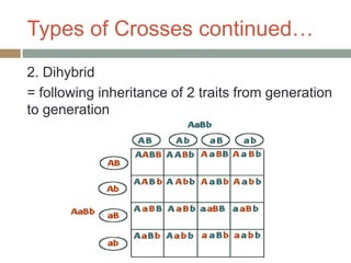 Types of Crosses continued…
2. Dihybrid
= following inheritance of 2 traits from generation
to generation
 