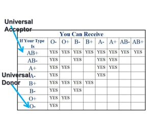 Universal
Acceptor




Universal
Donor
 