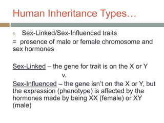 Human Inheritance Types…
5. Sex-Linked/Sex-Influenced traits
= presence of male or female chromosome and
sex hormones

Sex-Linked – the gene for trait is on the X or Y
                 v.
Sex-Influenced – the gene isn’t on the X or Y, but
the expression (phenotype) is affected by the
hormones made by being XX (female) or XY
(male)
 
