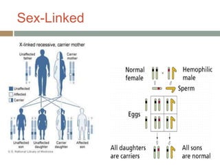 Sex-Linked
 