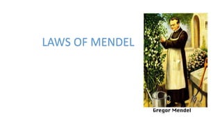 LAWS OF MENDEL
 