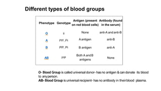 Phenotype Genotype
O ii
A IAIA, IAi
B IBIB, IBi
Antigen (present Antibody (found
on red blood cells) in the serum)
None anti-A and anti-B
A antigen anti-B
B antigen anti-A
AB IAIB
Both A andB
antigens
None
Different types of blood groups
O- Blood Group is called universal donor- hasno antigen &can donate its blood
to anyperson.
AB- Blood Group is universal recipient- hasno antibody in theirblood plasma.
 