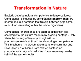 Transformation in Nature
Bacteria develop natural competence in dense cultures.
Competence is induced by competence pheromones. (A
pheromone is a hormone that travels between organisms,
rather than circulating within the same organism).
Competence pheromones are short peptides that are
secreted into the culture medium by dividing bacteria . Only
when the density of bacteria is high will the
pheromones reach sufficient levels to trigger competence.
This mechanism is presumably meant to ensure that any
DNA taken up will come from related bacteria as
competenceis only induced when there are many nearby
cells of the same species.
 