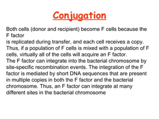 Conjugation
Both cells (donor and recipient) become F cells because the
F factor
is replicated during transfer, and each cell receives a copy.
Thus, if a population of F cells is mixed with a population of F
cells, virtually all of the cells will acquire an F factor.
The F factor can integrate into the bacterial chromosome by
site-specific recombination events. The integration of the F
factor is mediated by short DNA sequences that are present
in multiple copies in both the F factor and the bacterial
chromosome. Thus, an F factor can integrate at many
different sites in the bacterial chromosome
 