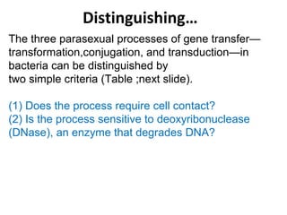 Distinguishing…
The three parasexual processes of gene transfer—
transformation,conjugation, and transduction—in
bacteria can be distinguished by
two simple criteria (Table ;next slide).
(1) Does the process require cell contact?
(2) Is the process sensitive to deoxyribonuclease
(DNase), an enzyme that degrades DNA?
 