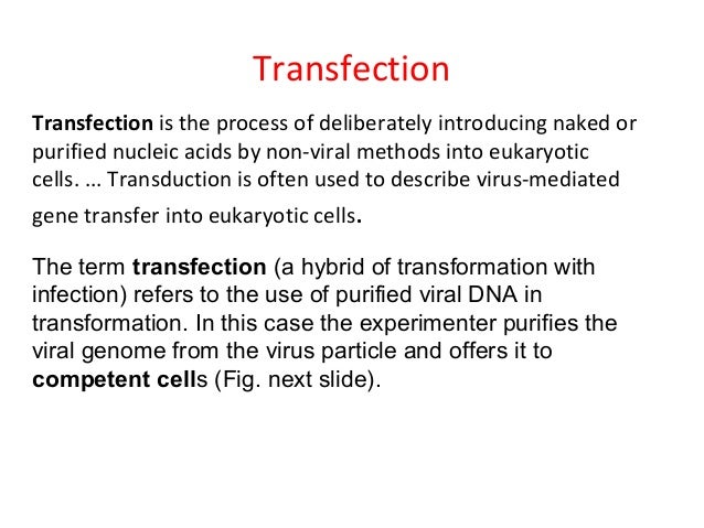 transformation transfection transduction Genetics of bacteria transformation transfection transduction Genetics of bacteria