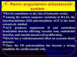 1- Renin-angiotensin-aldosterone
system
RAAS contributes to the risk of ischaemic stroke.
Among the various sequence variations in RAAS, the
insertion/deletion (I/D) polymorphism ACE is the most
extensively studied.
ACE produces angiotensin II and catabolises
bradykinin thereby affecting vascular tone, endothelial
function, and smooth-muscle-cell proliferation.
RAAS has a well-documented effect on systemic blood
pressure.
Thus, the I/D polymorphism has become a strong
candidate for cardiovascular risk.

 
