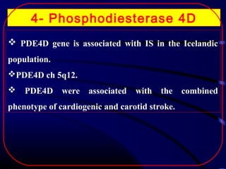 4- Phosphodiesterase 4D
 PDE4D gene is associated with IS in the Icelandic
population.
PDE4D ch 5q12.


PDE4D

were

associated

with

the

phenotype of cardiogenic and carotid stroke.

combined

 