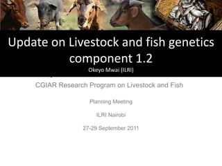 Update on Livestock and fish genetics
              CRP 3.7
          component 1.2
  ComponentOkeyo MwaiAnimal Health
              1.1: (ILRI)
    CGIAR Research Program on Livestock and Fish

                    Planning Meeting

                      ILRI Nairobi

                  27-29 September 2011
 