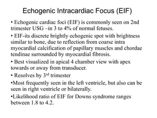 Echogenic Intracardiac Focus (EIF)
• Echogenic cardiac foci (EIF) is commonly seen on 2nd
trimester USG –in 3 to 4% of normal fetuses.
• EIF-its discrete brightly echogenic spot with brightness
similar to bone, due to reflection from coarse intra
myocardial calcification of papillary muscles and chordae
tendinae surrounded by myocardial fibrosis.
• Best visualized in apical 4 chamber view with apex
towards or away from transducer.
• Resolves by 3rd trimester
•Most frequently seen in the left ventricle, but also can be
seen in right ventricle or bilaterally.
•Likelihood ratio of EIF for Downs syndrome ranges
between 1.8 to 4.2.
 