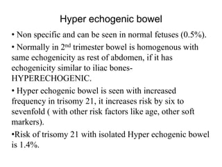 Hyper echogenic bowel
• Non specific and can be seen in normal fetuses (0.5%).
• Normally in 2nd trimester bowel is homogenous with
same echogenicity as rest of abdomen, if it has
echogenicity similar to iliac bones-
HYPERECHOGENIC.
• Hyper echogenic bowel is seen with increased
frequency in trisomy 21, it increases risk by six to
sevenfold ( with other risk factors like age, other soft
markers).
•Risk of trisomy 21 with isolated Hyper echogenic bowel
is 1.4%.
 