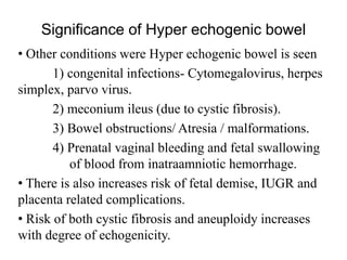 Significance of Hyper echogenic bowel
• Other conditions were Hyper echogenic bowel is seen
1) congenital infections- Cytomegalovirus, herpes
simplex, parvo virus.
2) meconium ileus (due to cystic fibrosis).
3) Bowel obstructions/ Atresia / malformations.
4) Prenatal vaginal bleeding and fetal swallowing
of blood from inatraamniotic hemorrhage.
• There is also increases risk of fetal demise, IUGR and
placenta related complications.
• Risk of both cystic fibrosis and aneuploidy increases
with degree of echogenicity.
 