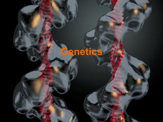 Genetics
 