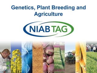 Dr Tina Barsby

Plant Science into Practice

Genetics, Plant Breeding and
Agriculture

 