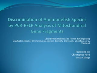 Discrimination of Anemonefish Species by PCR-RFLP Analysis of Mitochondrial Gene Fragments ChutaBoonphakdee and PichanSawangwongGraduate School of Environmental Science, Burapha University, Chonburi 20131, Thailand Presented by: Christopher Reed Loras College 