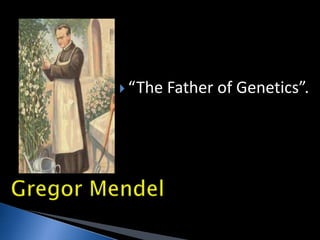  “The Father of Genetics”.